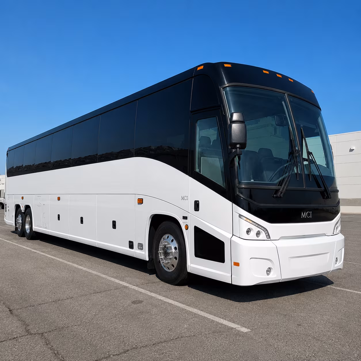 loggerhead marinelife center and busch wildlife sanctuary field trip shuttles